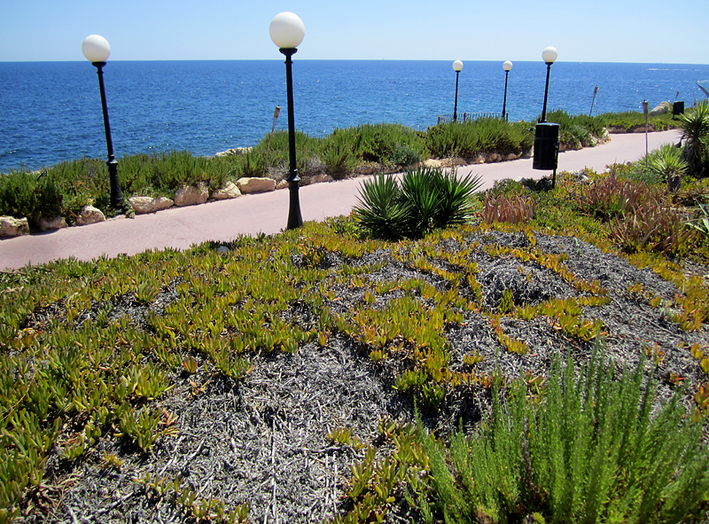 Promenade le long de la mditerrane