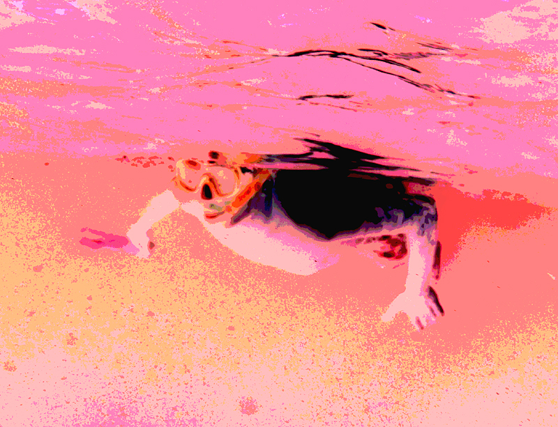 Le plongeur rose