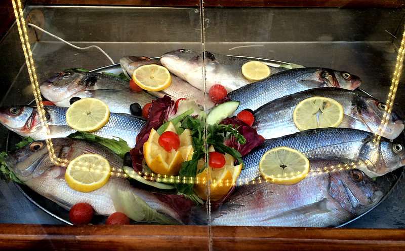 Fish display
