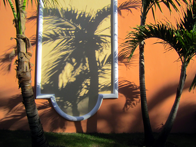  l'ombre des palmiers