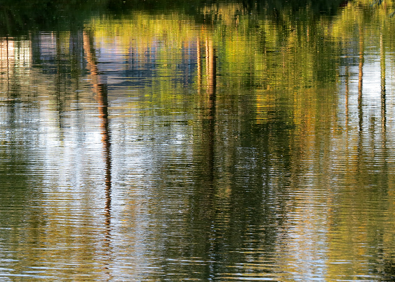 Ballade le long de la rivire L'Assomption  Joliette