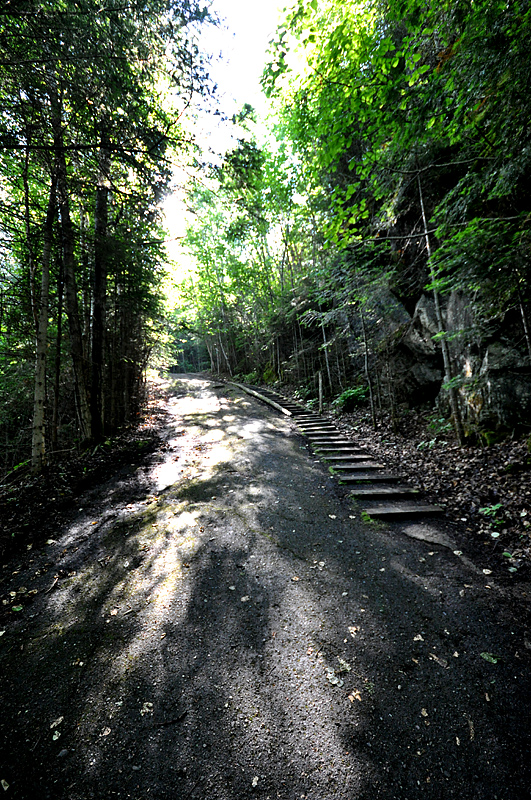 Une sacrée montée