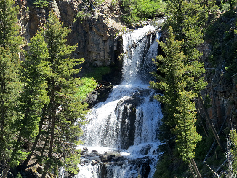 promenade dans le parc de Yellowstone