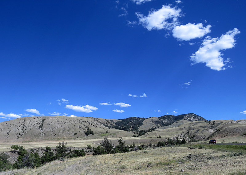 promenade dans le parc de Yellowstone