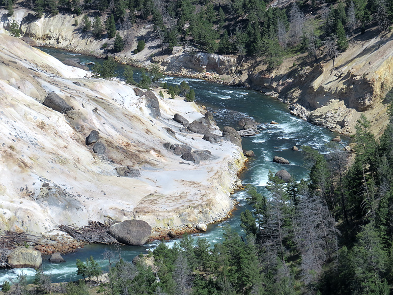 promenade dans le parc de Yellowstone