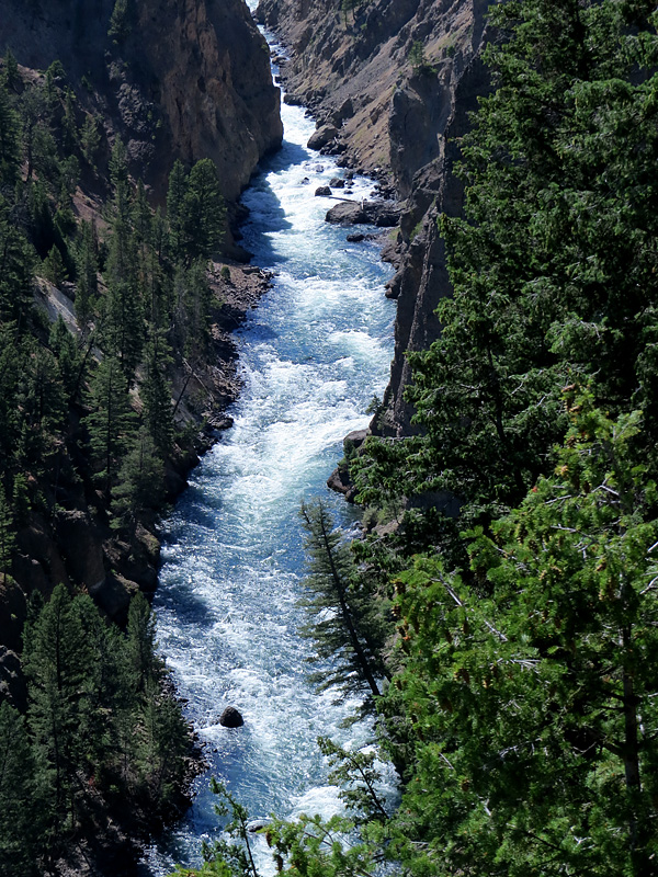 promenade dans le parc de Yellowstone