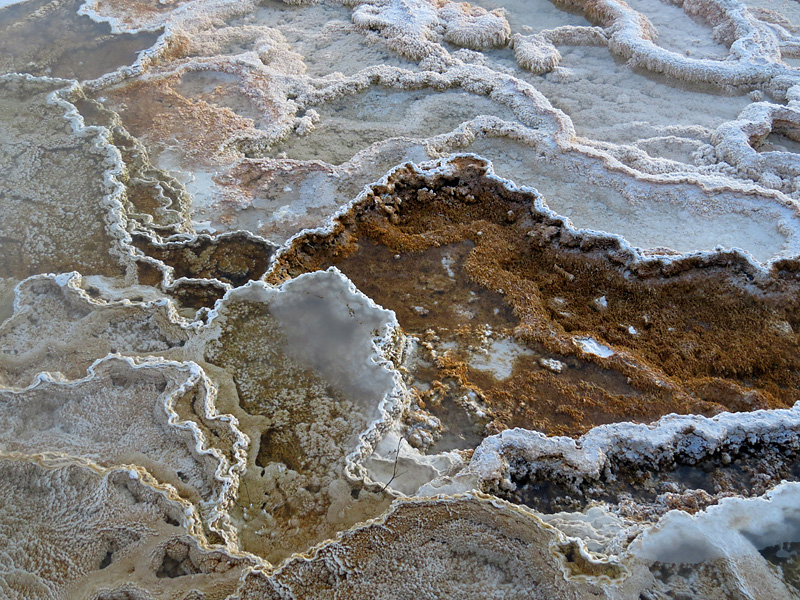 Mammoth Hot Springs- paysage magique