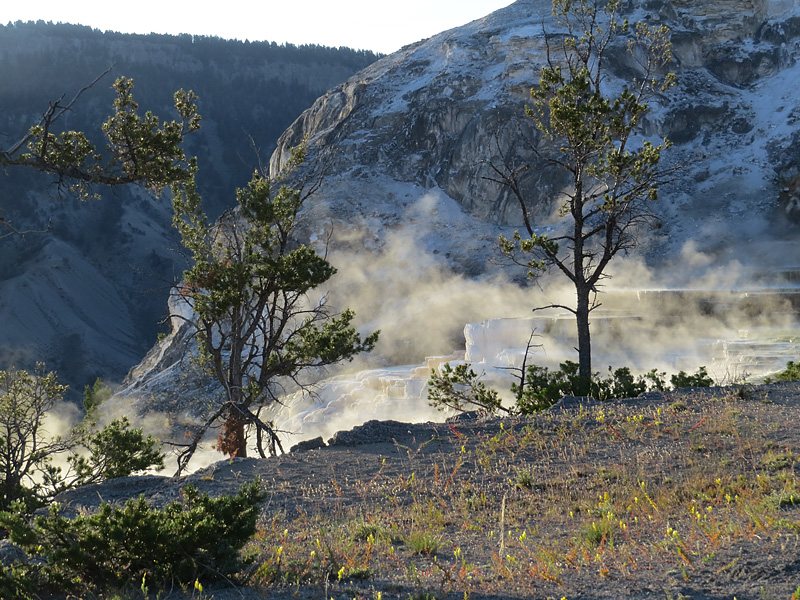 Mammoth Hot Springs- paysage magique