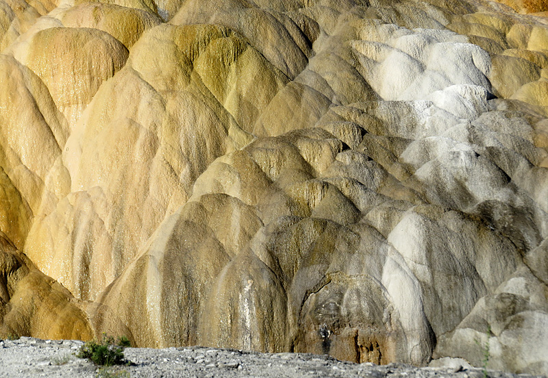 Mammoth Hot Springs- paysage magique