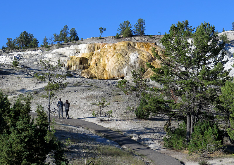 Mammoth Hot Springs- paysage magique