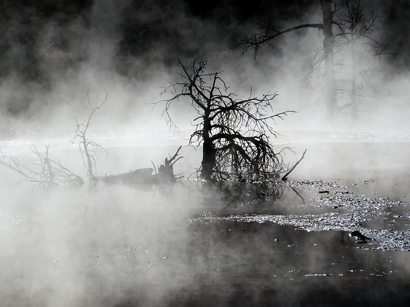 Mammoth Hot Springs- paysage magique