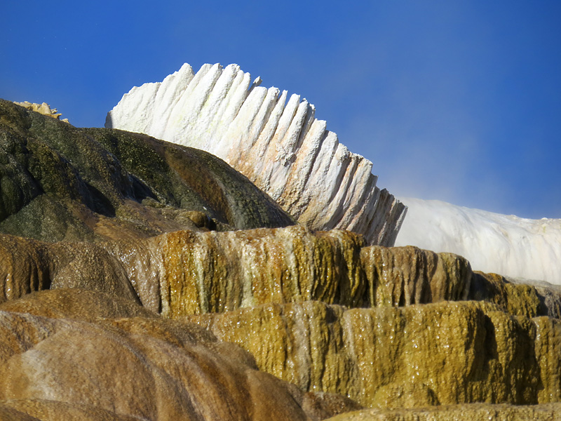 Mammoth Hot Springs- paysage magique