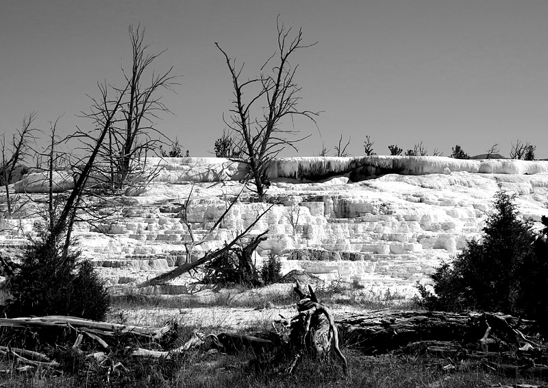 Mammoth Hot Springs- paysage magique