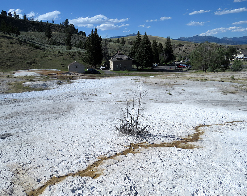 Mammoth Hot Springs- paysage magique