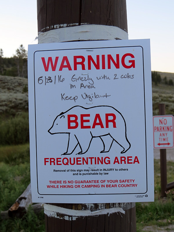 Promenade sur les routes de Yellowstone