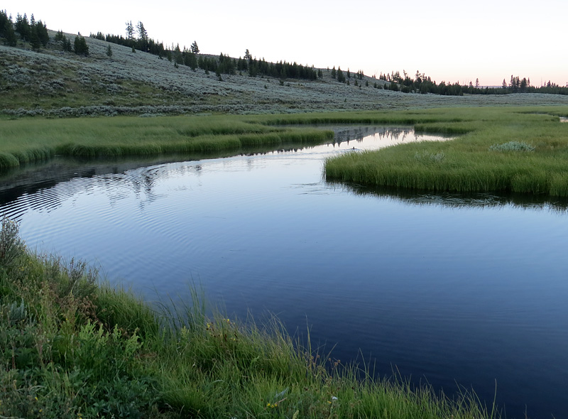 Promenade  l'aube sur les haut-plateaux de Yellowstone