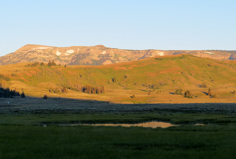 Promenade  l'aube sur les haut-plateaux de Yellowstone