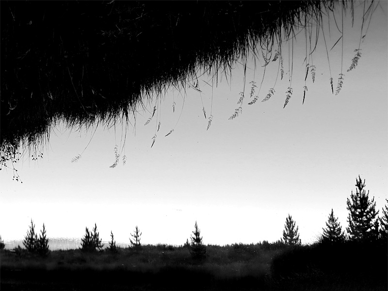 Promenade  l'aube sur les haut-plateaux de Yellowstone