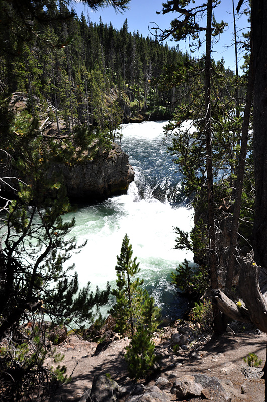 Canyon et chute de la rivire Yellowstone