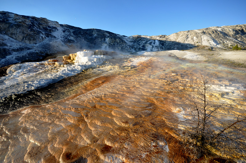 Mammoth Hot Springs- paysage magique