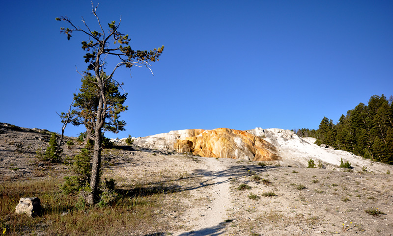 Mammoth Hot Springs- paysage magique