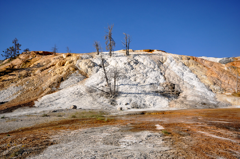 Mammoth Hot Springs- paysage magique