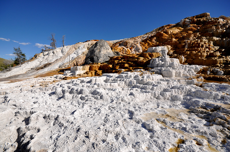 Mammoth Hot Springs- paysage magique