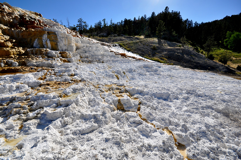 Mammoth Hot Springs- paysage magique