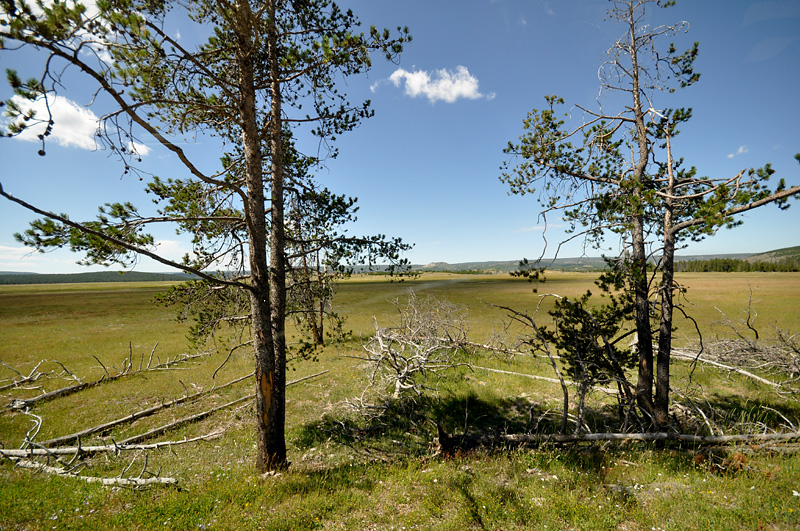 Promenade sur les routes de Yellowstone