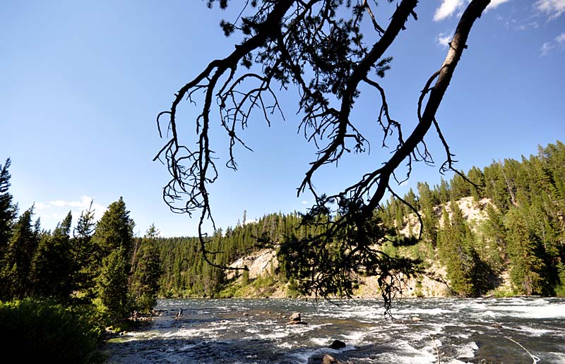 Promenade sur les routes de Yellowstone