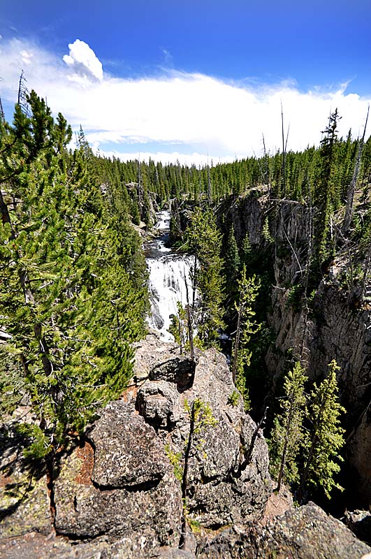 Promenade sur les routes de Yellowstone