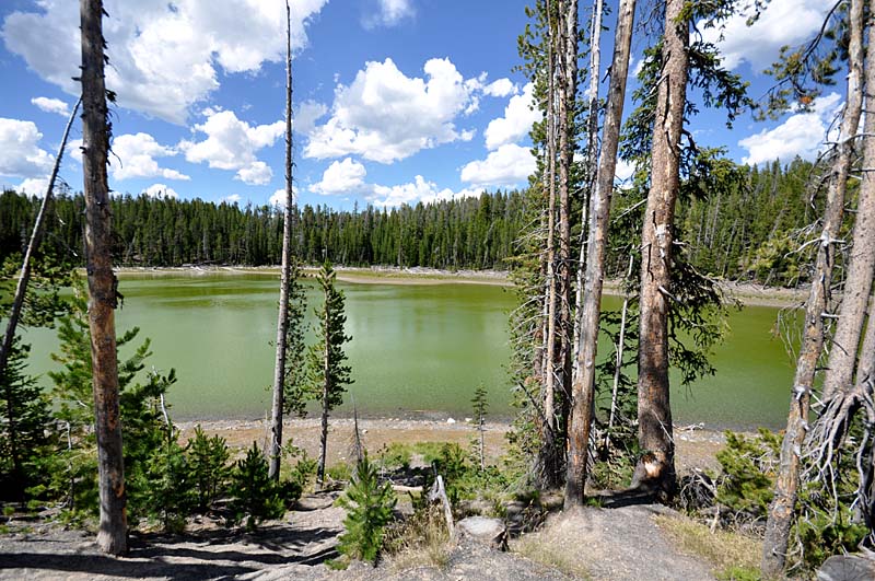 Promenade sur les routes de Yellowstone