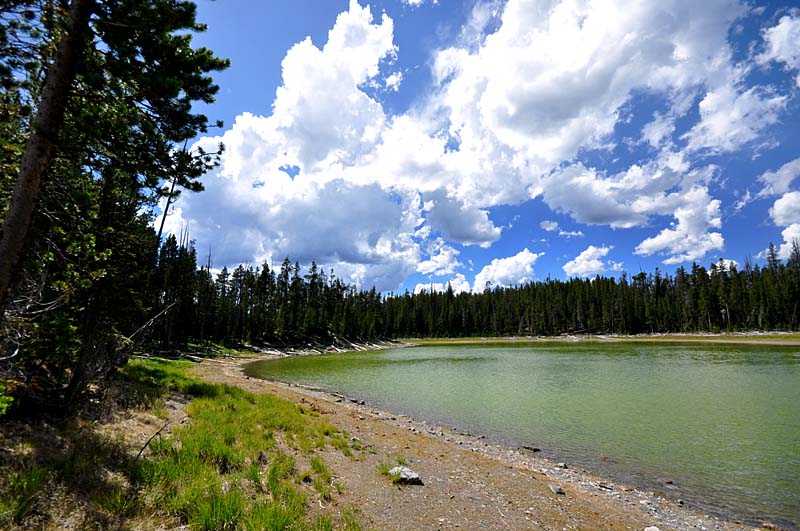 Promenade sur les routes de Yellowstone