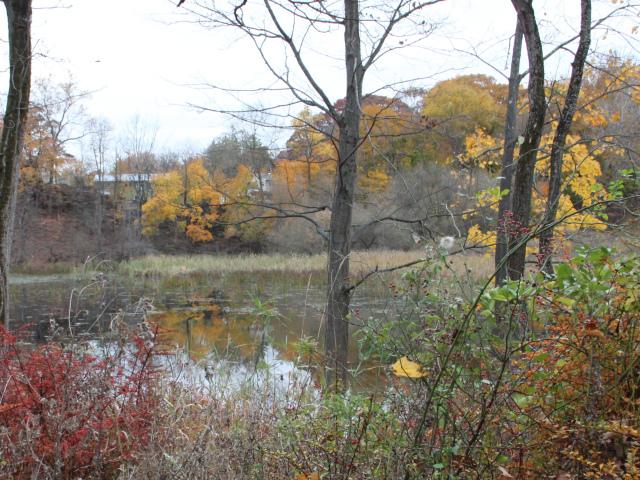 ir-131106_15-28_4500L.jpg