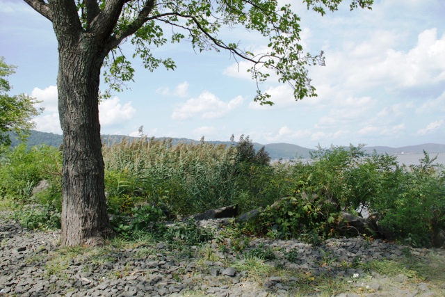 ir-140902_12-15_9927.jpg