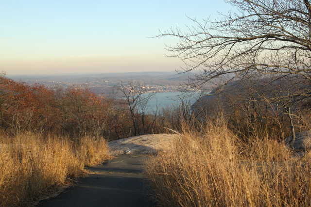 ir-141110_16-06_1595.jpg