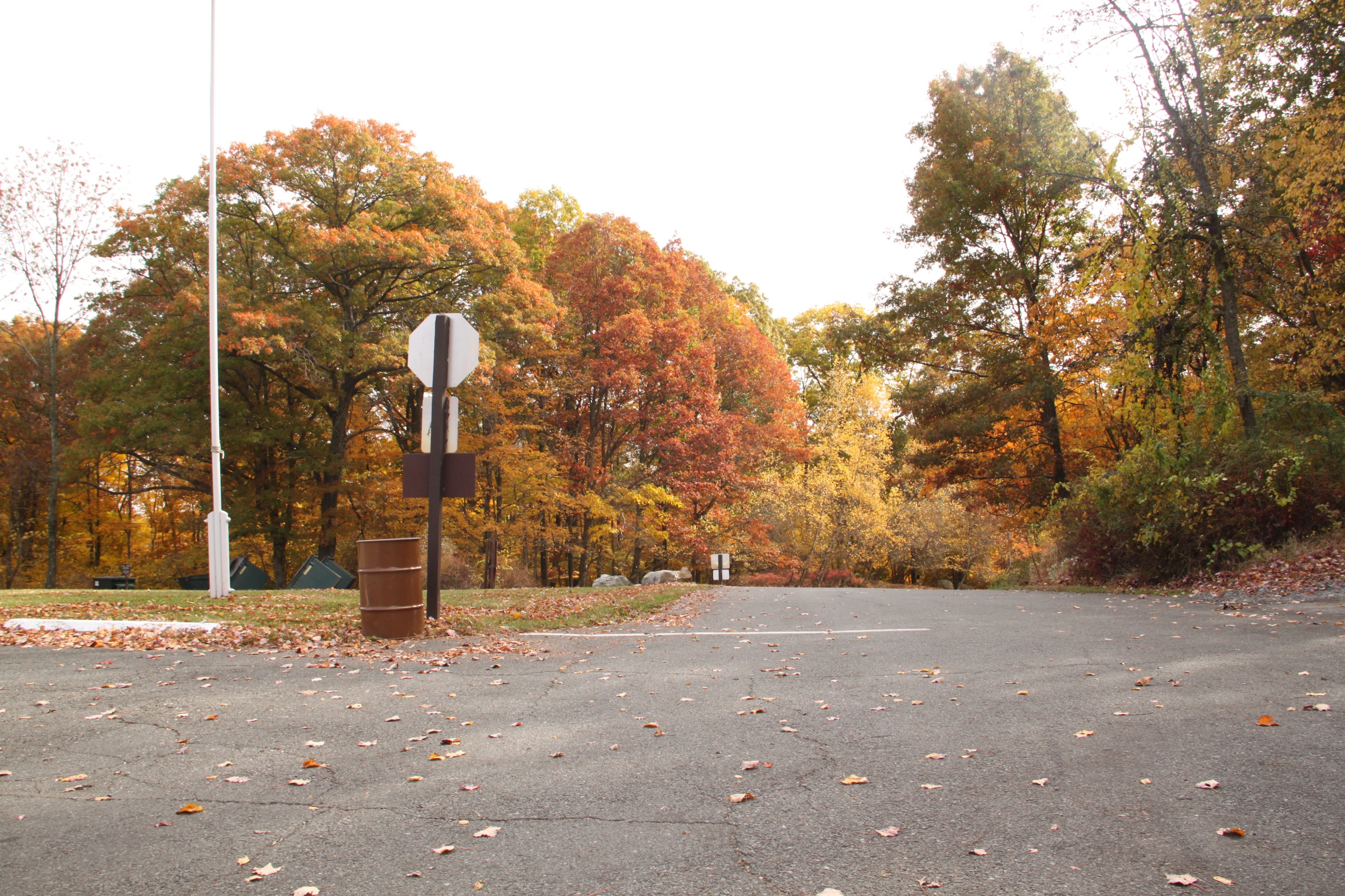 ir-IMG_1897.jpg