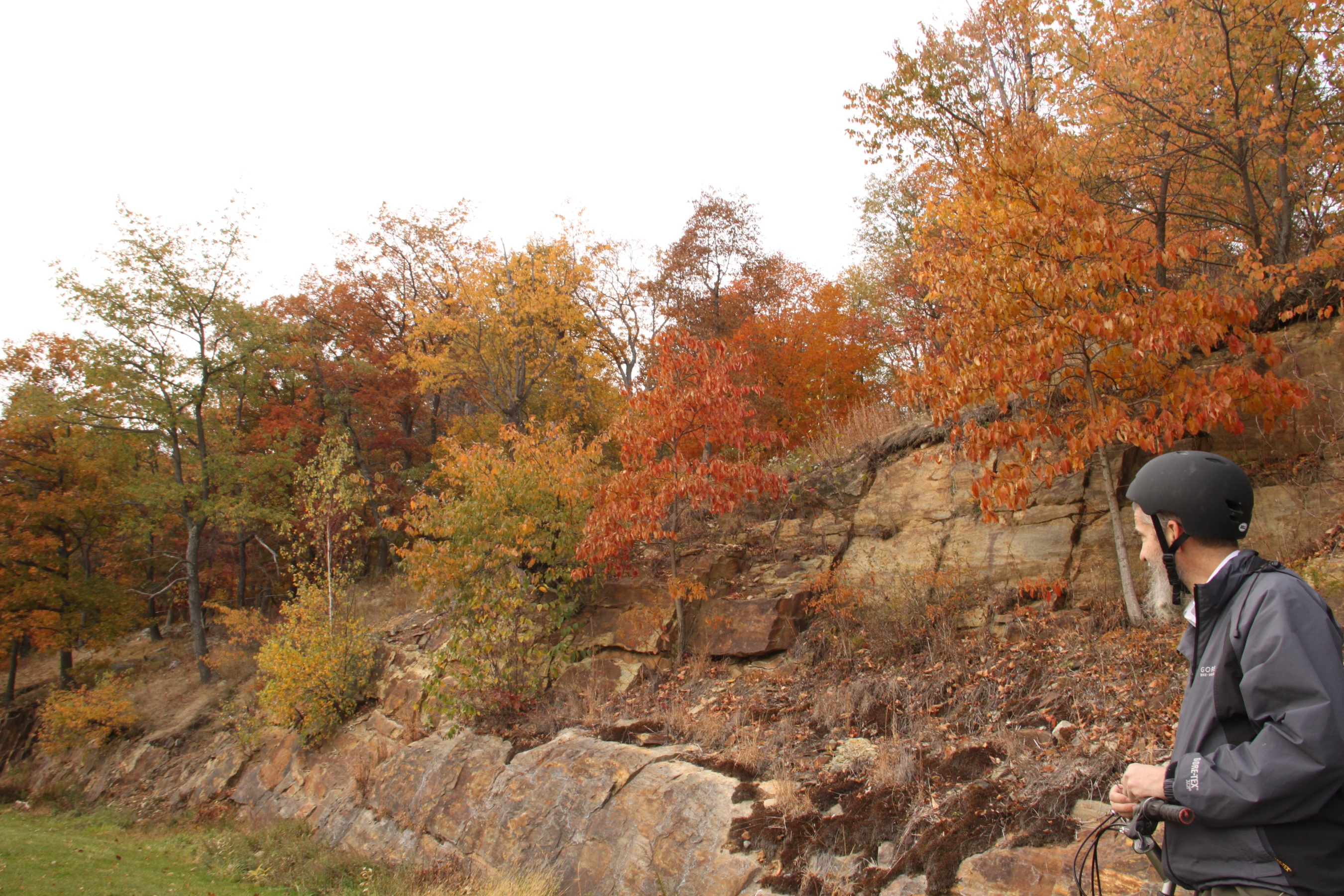ir-IMG_1923.jpg