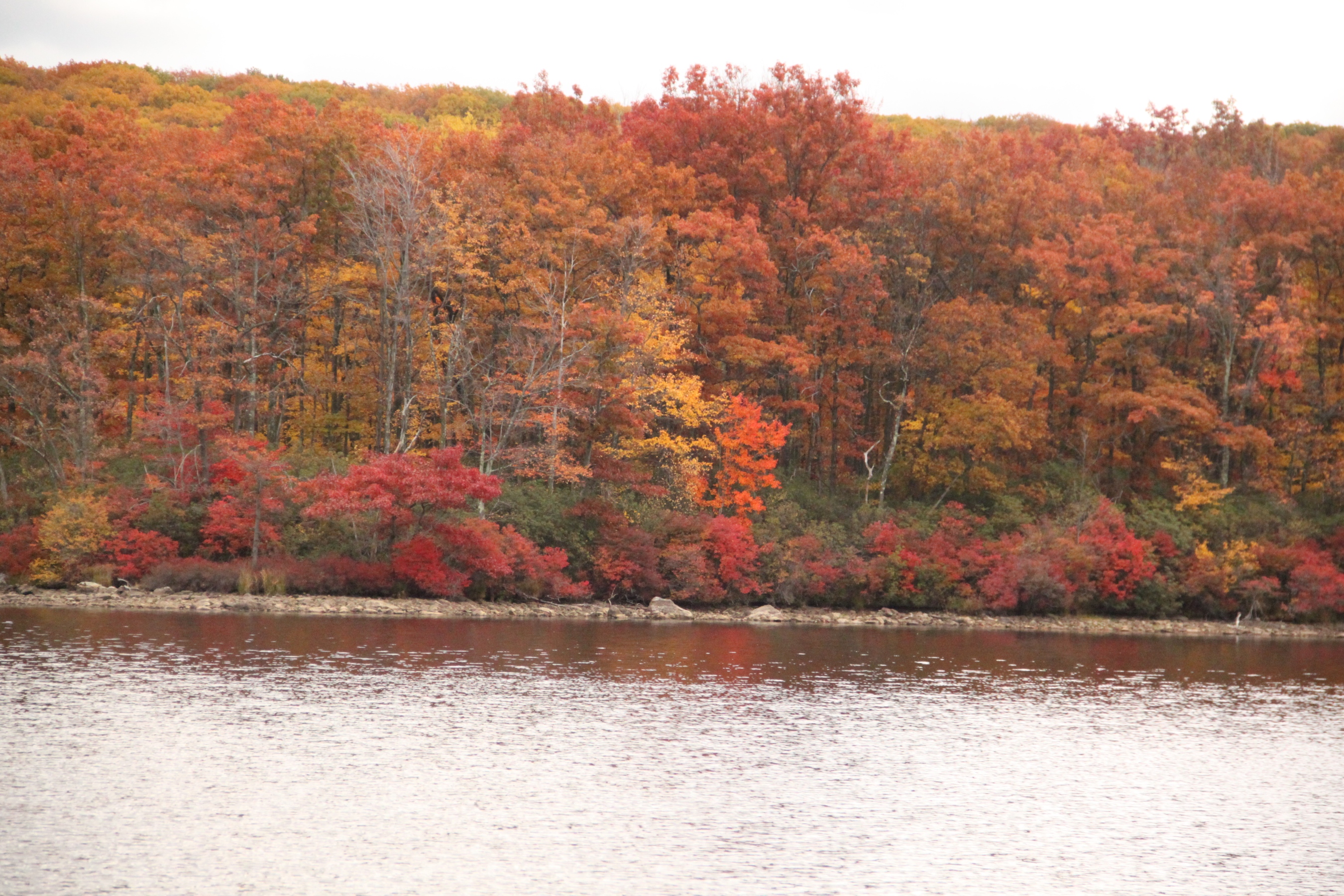 ir-IMG_1959.jpg