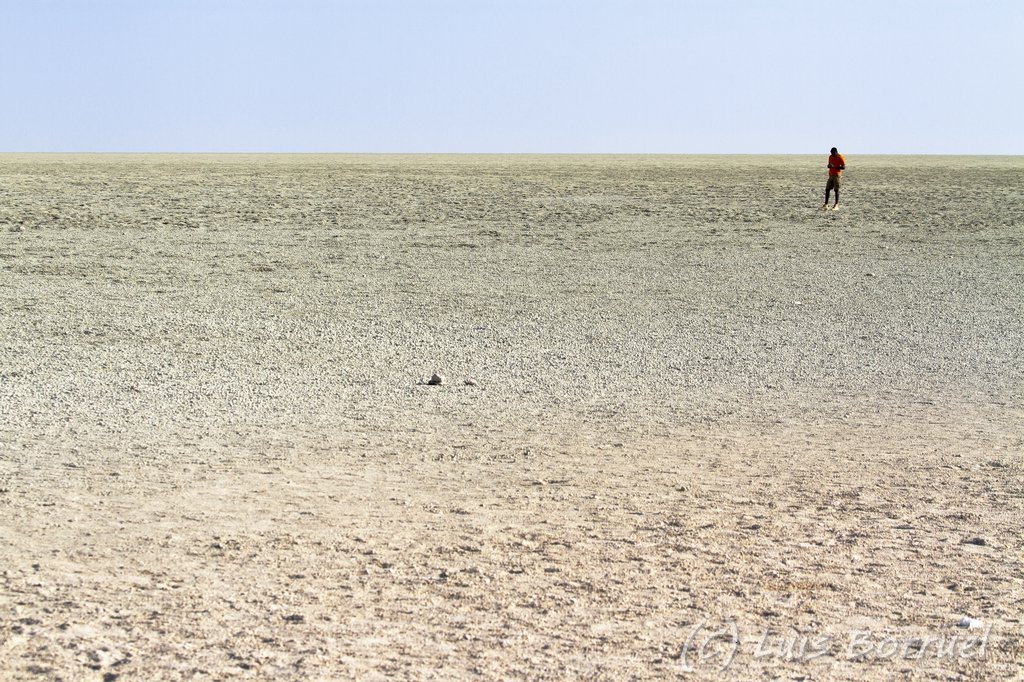 Etosha pan2