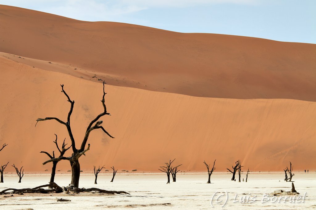 Sesriem deadvlei3