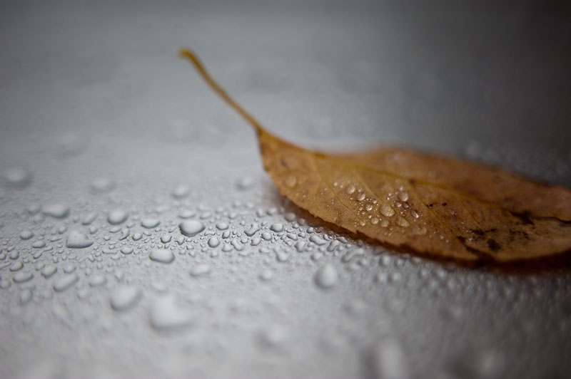 14th October 2013 <br> raining