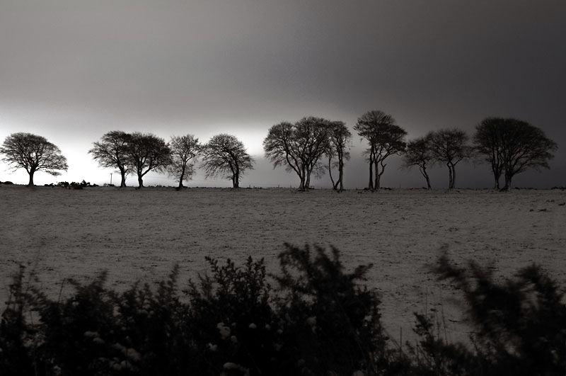 19th November 2013 <br> first snow