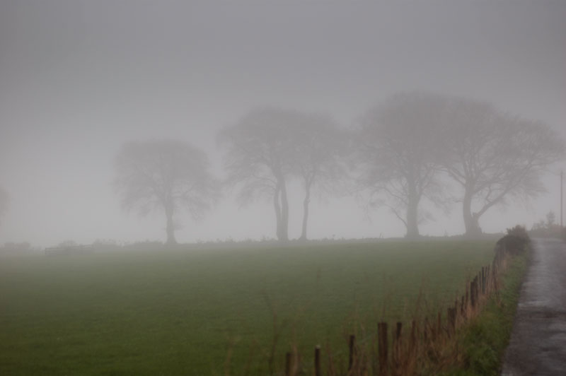 21st April 2014  misty Monday morning