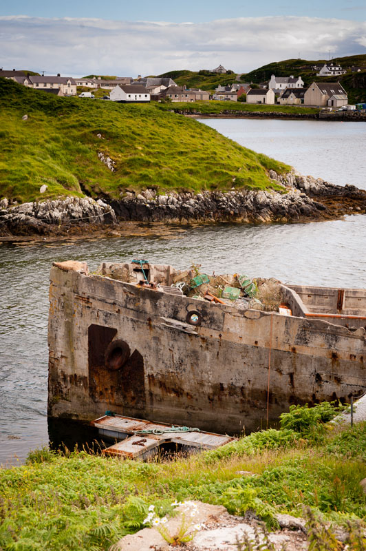 DSC_8236-001.jpg