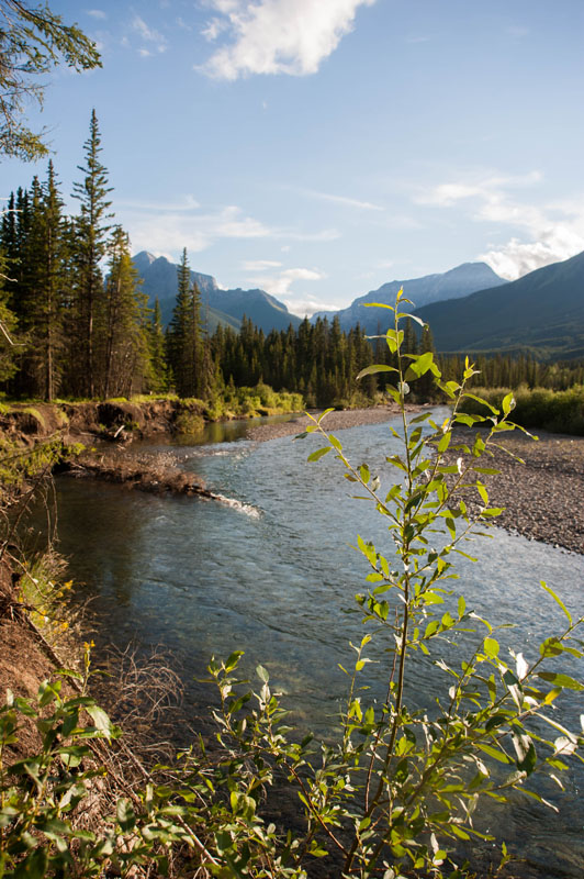 26th July 2015  Kananaskis River