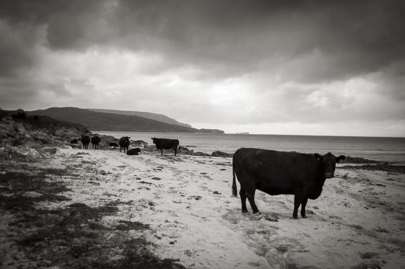 29th August 2015 <br> how dairy