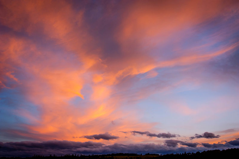 DSC_6236-001.jpg