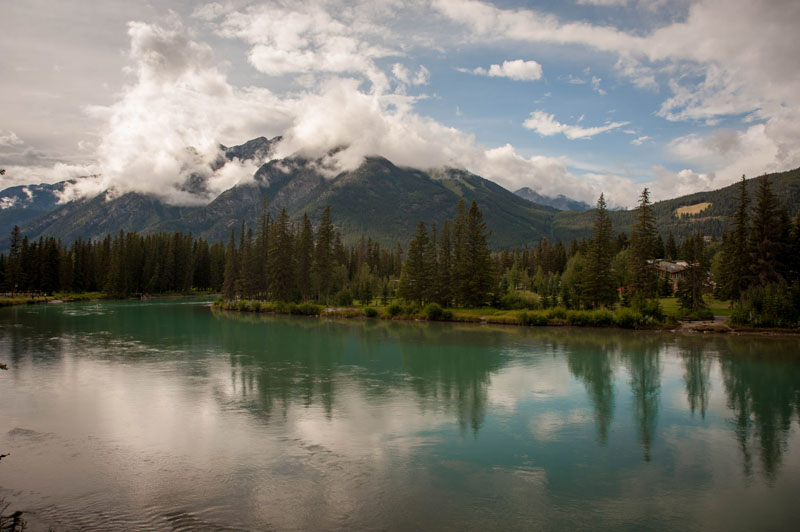 DSC_6305-001.jpg