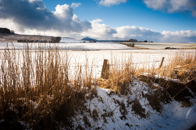 6th March 2016 <br> melting snow